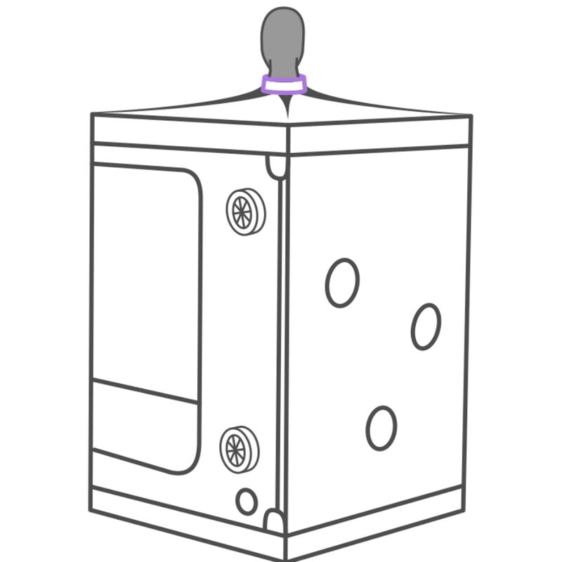 SECRET DOME - KINK CLUB CABINE SCANDALE PURPLE