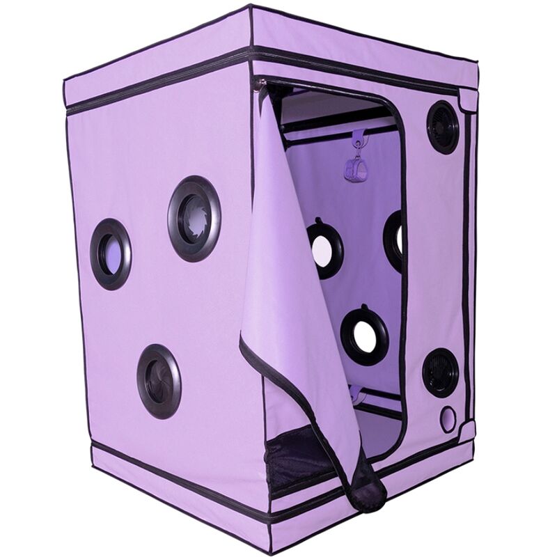SECRET DOME - KINK CLUB CABINE SCANDALE PURPLE